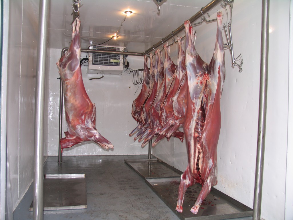 Hanging Meat Rail